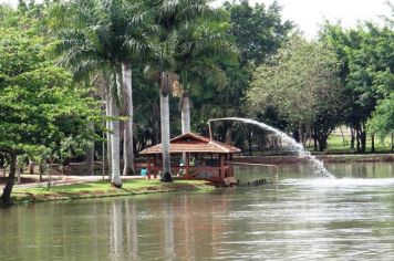 Foto - Lago Municipal