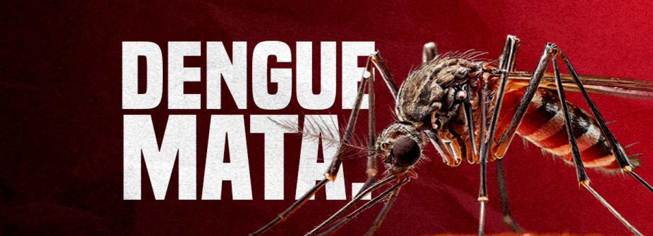 Dengue mata